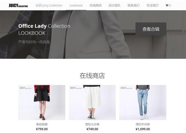 服饰网站建设